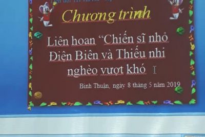 Hoạt động chiến sỹ nhỏ tuổi